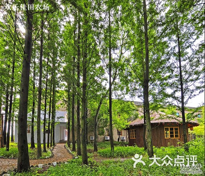 佳田餐饮 (2)_欢乐佳田农场