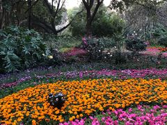 -人民公园(罗湖区)