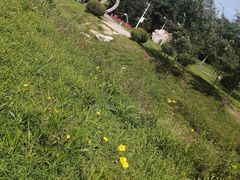-莫子山公园