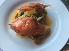 -Red Lobster