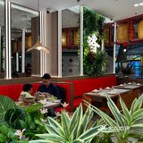  🥹这家啫啫煲真的馋哭我了