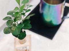 -WATER CAFE(广厦店)