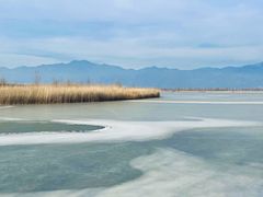 -野鸭湖国家湿地公园