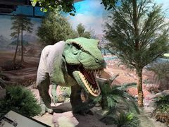 -国家自然博物馆