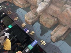 -贵州森林野生动物园