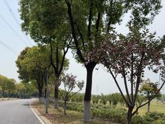 -漕湖湿地公园