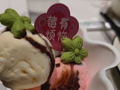 -阿露佳·舌尖上的安吉菜