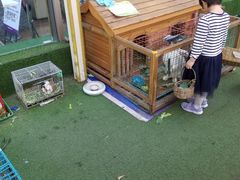 -巴黎春天(浦建店)