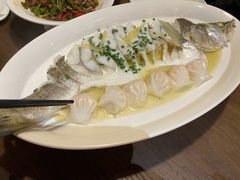 清蒸海鲈鱼-HOHO餐厅(古子城店)