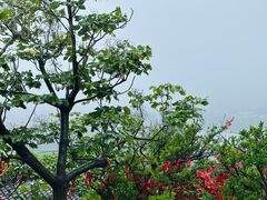 -蓬莱阁景区