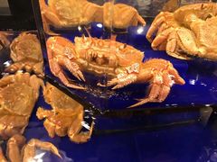 -蟹道乐(道顿堀本店)