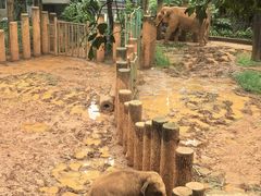 -昆明动物园