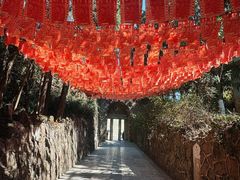 -彩色沙林风景区