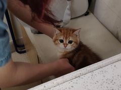 -芭比堂动物医院广州顽皮分院