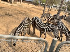 -石家庄市动物园