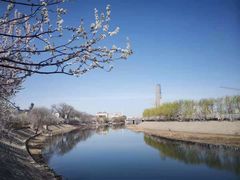 -桃花堤公园