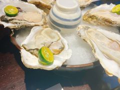 波耳修斯黑钻活生蚝-石葵(锦业时代店)