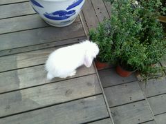 -南京夫子庙国际青年旅舍(平江府路店)