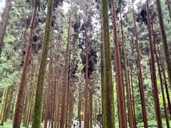 -娄山关景区