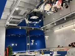 -兰湘子·湘菜小炒(崂山丽达店)