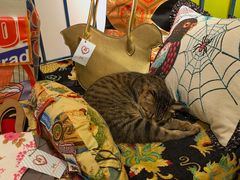 -恋物百货商店(华侨城店)