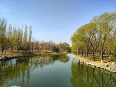 -大兴滨河森林公园