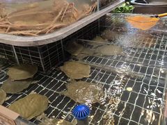 -五味坊·大渔市(瑞丰商博城店)