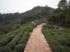 -西湖风景区十里琅珰-五云山