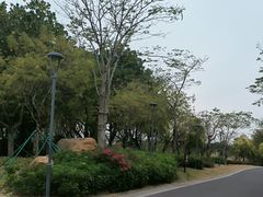 -王借岗森林公园