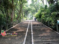 -上海佘山国家森林公园西佘山园