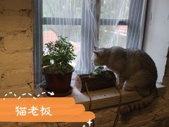 -不舍昼夜咖啡馆