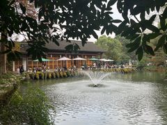 -杭州植物园
