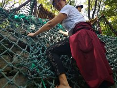 -原山国家森林公园