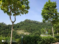 -火炉山森林公园