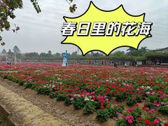 -盈香心动乐园