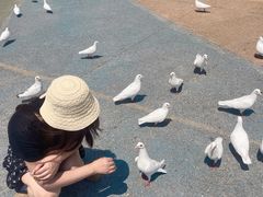 -烟台海昌鲸鲨海洋公园
