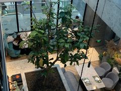 -大树餐厅(红旗街万达店)