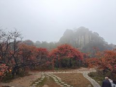 -秦岭终南山世界地质公园翠华山景区
