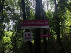 -越王山风景区