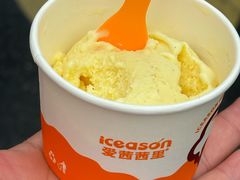 -iceason爱茜茜里·意大利健康冰淇淋(骑龙巷店)