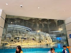 -帝企鹅自助餐厅•儿童岛•真企鹅(长隆企鹅酒店)