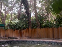 -碧水湾温泉