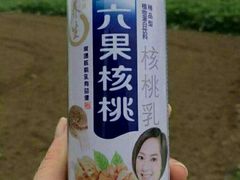 六果核桃-西关老字号钵仔糕(上下九宝华路店)