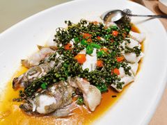 -宝园酒家(美林M·LIVE天地东座店)