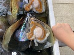 -蚝专家(北滘店)