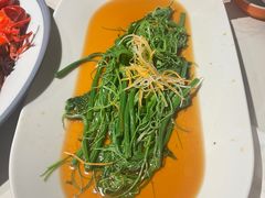 -杨氏青龙虾·羊蝎子(托乐嘉店)