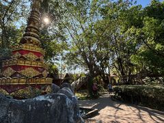 -瑞丽独树成林风景区