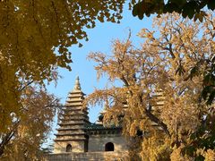 -北京石刻艺术博物馆(五塔寺)