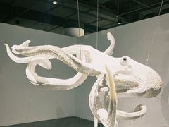-凤凰中心
