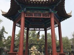 景点-关林